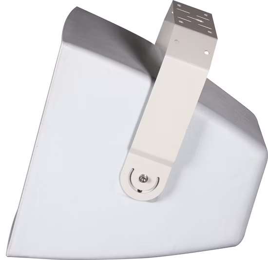 Водонепроницаемый 12-дюймовый коаксиальный длинноходный динамик для установки с трансформатором 100 В, IP56